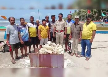 मालवणच्या दांडी समुद्रात सापडला सोने अन् हिऱ्यापेक्षा मौल्यवान खजिना, आणि पोलीस यंत्रणा झाली अलर्ट