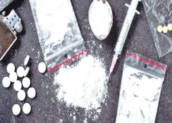 २८ कोटी रुपयांचे अंमली पदार्थ वर्षभरात जप्त