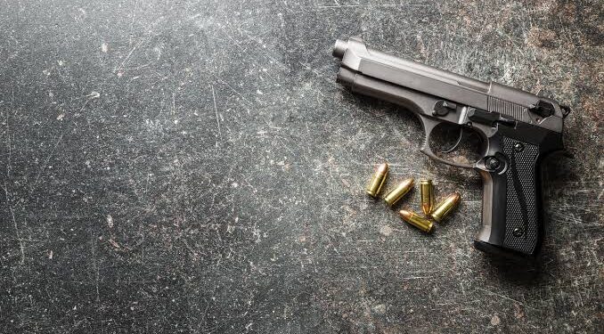 ठाणे, कल्याण आणि डोंबिवलीत बंदुकीचे सर्वाधिक परवाने; बंदूक स्वसंरक्षणासाठी की खोट्या प्रतिष्ठेसाठी?
