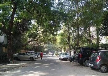 रस्त्यावर झाडांखाली कार पार्किंग करणाऱ्यांसाठी पालिकेने घेतला ‘हा’ निर्णय