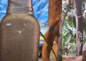 पिण्याच्या पाण्यात नाल्याचे पाणी; नागरिकांचे आरोग्य धोक्यात