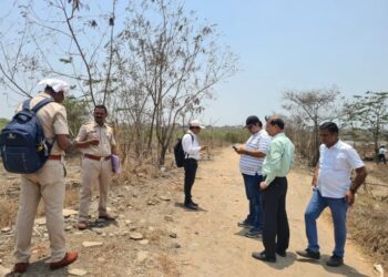 खारफुटीवरील भरावप्रकरणी सिडको, वन विभाग येणार अडचणीत