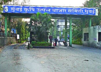 २३ माजी संचालक सभापती सह सचिवा विरोधात एपीएमसी चटई क्षेत्र घोटाळा प्रकरणी गुन्हा दाखल