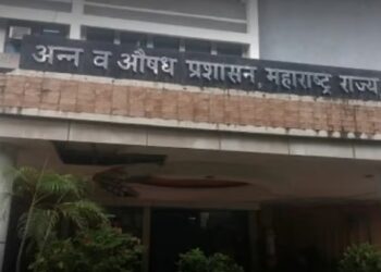 एफडीएचे कारवाईचा बडगा उगारण्याकडे दुर्लक्ष; रस्त्यालगतचे खाद्यपदार्थ विक्रेते मोकाट