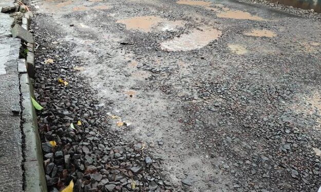 घोडबंदर मार्गावर खड्ड्यांमुळे वाहन चालक हैराण