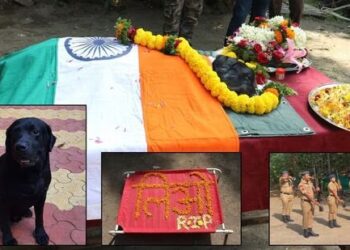 पुणे पोलिसांचा लाडका मित्र लियो कालवश; शासकीय इतमामात झाले अंत्यसंस्कार