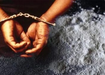 बोळींज पोलिसांकडून अमली पदार्थ तस्करीचे रॅकेट उघड; १२ जणांना अटक