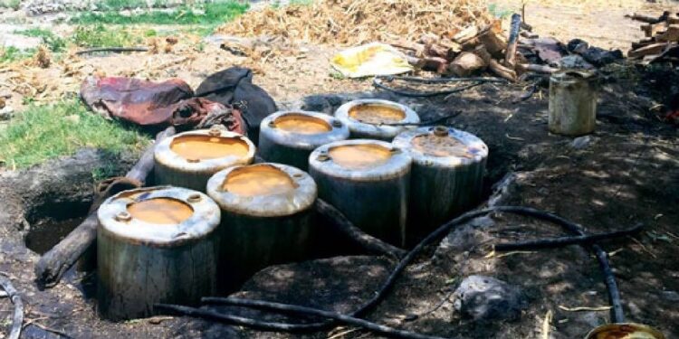 खाडी परिसरात हातभट्टी विरोधात महसूल विभागाची कारवाई; ३३ हजार ६०० लिटर रसायन नष्ट