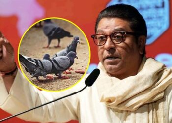 माणसांपेक्षा कबुतर महत्वाची आहेत का? मनसे अध्यक्ष राज ठाकरेंचा प्रश्न