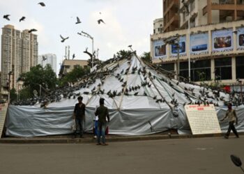 BMC has shut down Dadar Kabutarkhana