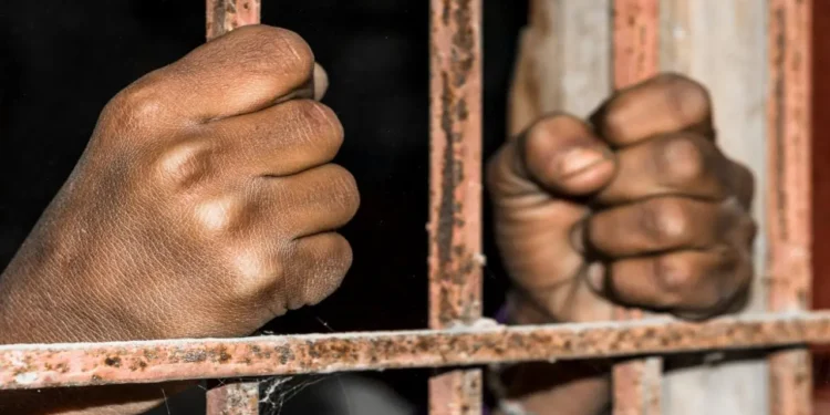 डोंबिवलीतील पान टपरीवर पोलिसांचा छापा, ५६ हजाराच्या प्रतिबंधित गुटखासह आरोपीला अटक