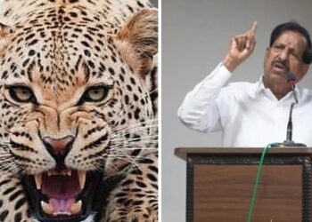 “बिबट्या दिसताच ऑन द स्पॉट शूट करा” – वनमंत्री गणेश नाईक