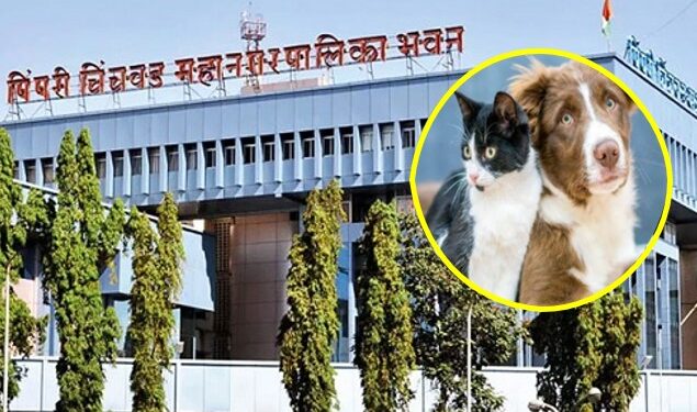 विना परवाना श्वान पाळणाऱ्यांवर होणार आता दंडात्मक कारवाई – महापालिकेचा निर्णय