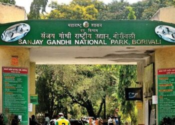 संजय गांधी राष्ट्रीय उद्यानात राहणाऱ्या आदिवासींना घरे रिकामी करण्याची वन विभागाची नोटीस