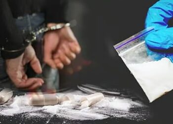 माझगाव येथील ‘बाबा का ढाबा’ या हॉटेलवर पोलिसांनी मोठी कारवाई; कुख्यात ड्रग्ज तस्कराला अटक