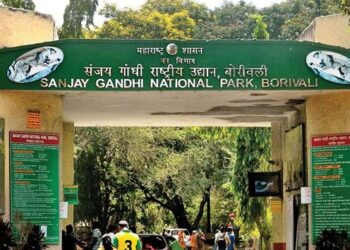 संजय गांधी राष्ट्रीय उद्यानात बेस्टला NO ENTRY! ई- बसच्या वाढीव तिकीट दरामुळे पर्यटकांचे बजेट कोलमडले