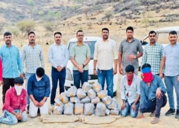 करमाळा पोलीस ॲक्शन मोडमध्ये! ७२ किलो गांजासह चौघांना ठोकल्या बेड्या!