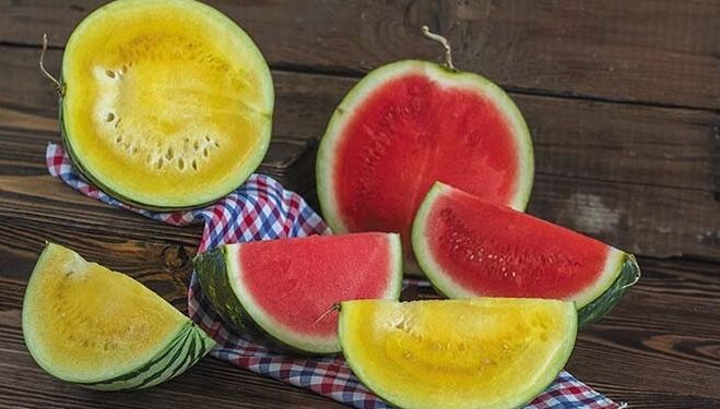 दिसायला पिवळं, चवीला गोड! वसई-विरारच्या बाजारपेठेत नवीन फळाची एन्ट्री