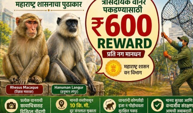 आता माकड पकडा आणि ६०० रुपये मिळवा; महाराष्ट्र सरकारचा मोठा निर्णय!