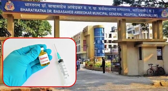 रेबीज लसीकरणात ‘शताब्दी’ हॉस्पिटल नंबर १; एका वर्षात २३,७३६ इंजेक्शनचा टप्पा पार