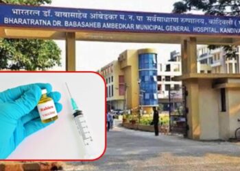 रेबीज लसीकरणात ‘शताब्दी’ हॉस्पिटल नंबर १; एका वर्षात २३,७३६ इंजेक्शनचा टप्पा पार