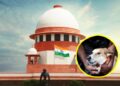 धोकादायक व रेबीजग्रस्त भटक्या कुत्र्यांवर कठोर कारवाईला मान्यता; सार्वजनिक ठिकाणांहून हटवण्याचे सर्वोच्च न्यायालयाचा आदेश कायम