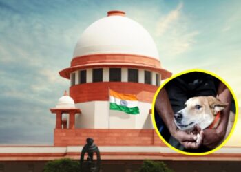 धोकादायक व रेबीजग्रस्त भटक्या कुत्र्यांवर कठोर कारवाईला मान्यता; सार्वजनिक ठिकाणांहून हटवण्याचे सर्वोच्च न्यायालयाचा आदेश कायम