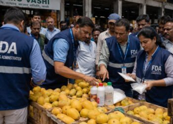 नवी मुंबईत कृत्रिमरीत्या आंबे पिकवण्यासाठी रसायनांचा वापर; FDA आणि APMC प्रशासनाची संयुक्त कारवाई