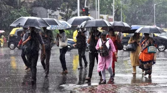 मुंबईत पावसाचा रेड अलर्ट: खासगी क्षेत्राला ‘WFH’, सरकारी कर्मचाऱ्यांना ‘हाफ डे’!