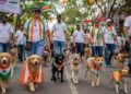 ठाण्यात स्वातंत्र्यदिनी रंगणार श्वानांची अनोखी देशभक्ती; ‘स्वातंत्र्य दिन पेट परेड’चे आयोजन!