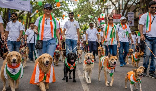 ठाण्यात स्वातंत्र्यदिनी रंगणार श्वानांची अनोखी देशभक्ती; ‘स्वातंत्र्य दिन पेट परेड’चे आयोजन!