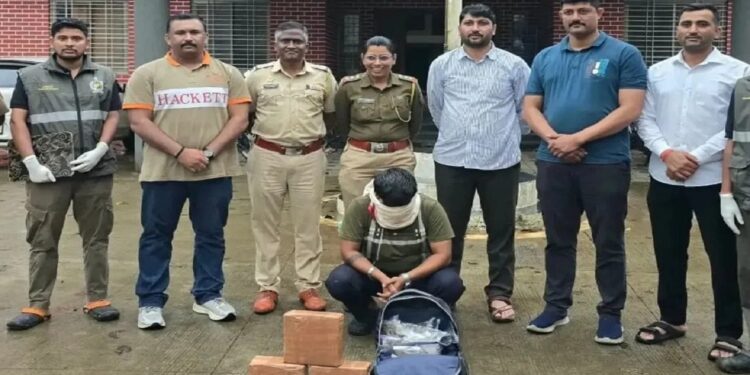 लोणावळा ग्रामीणमध्ये गांजाची तस्करी उघड; ८.५ किलो गांजासह तरुणाला अटक