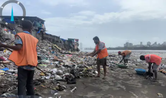 वरळी कोळीवाडा आणि किनाऱ्यावरून दोन दिवसांत उपसला ५० टन कचरा!